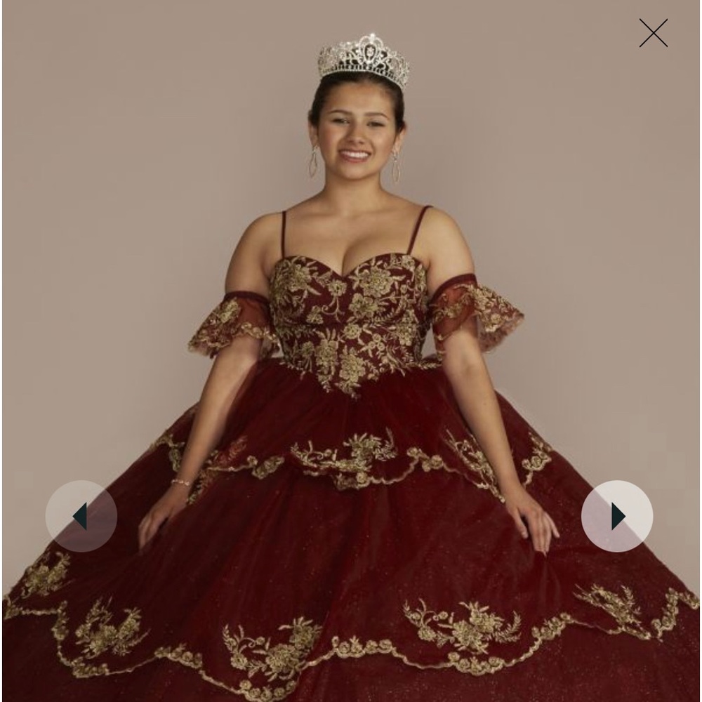 Fifteen Roses Quinceanera dress size 18 NWT / Harry Potter Wedding Gryffindor